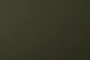 VINYTOL 561 - 5500/S101