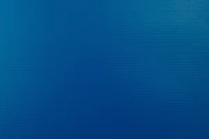 VINYTOL DUO 905 - 4224/005/4224/005